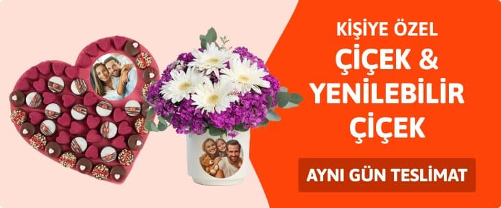Terrarium Dünyası